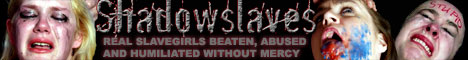 SSbanner04.jpg